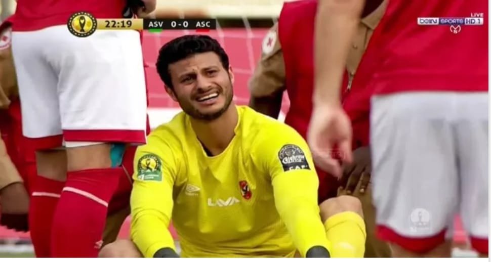 محمد الشناوي