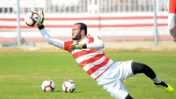 عماد السيد