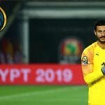 محمد الشناوي