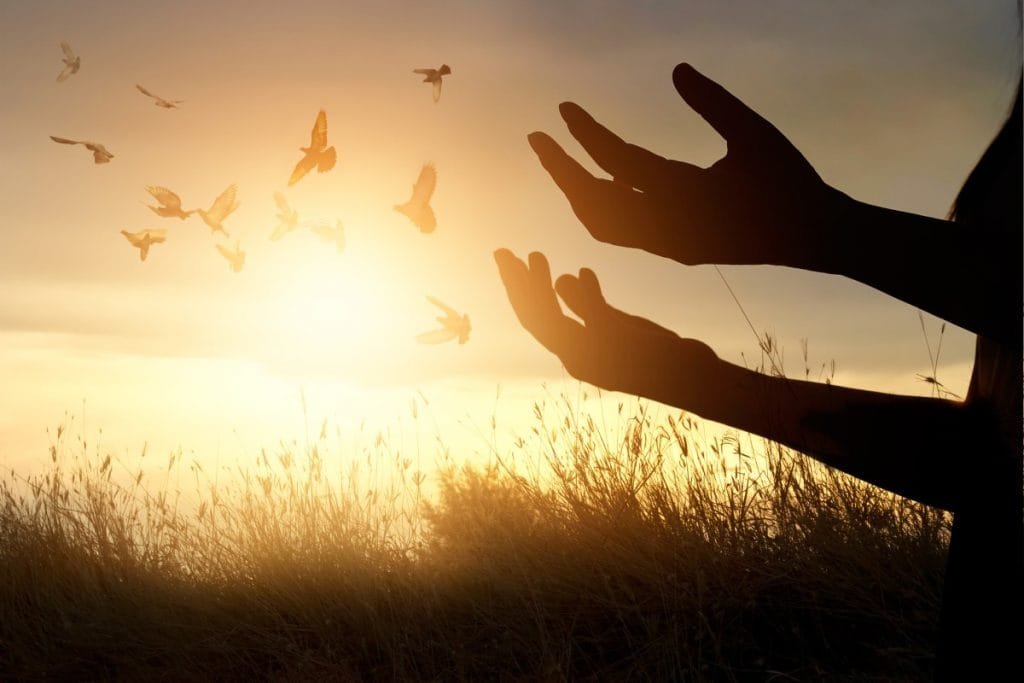 ما هو دعاء جلب الحبيب