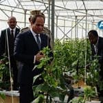 مشروعات الصوب الزراعية