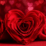 صباح الخير كلمات المراسلة الطيبة وطريقة اختيارها وأنواعها