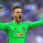 دافيد دي خيا