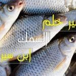 تفسير حلم السمك لابن سيرين