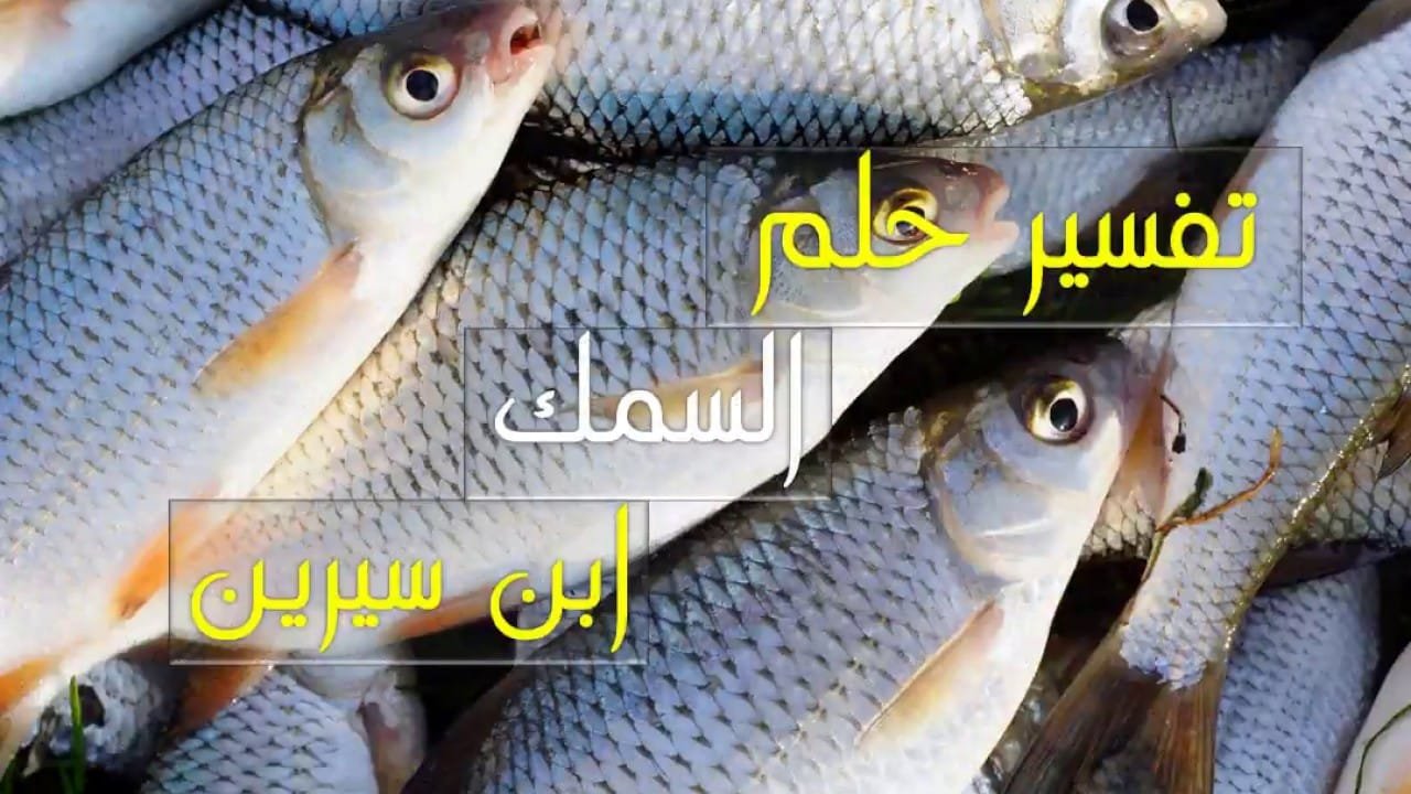 تفسير حلم السمك لابن سيرين