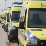 المستشفيات المصرية