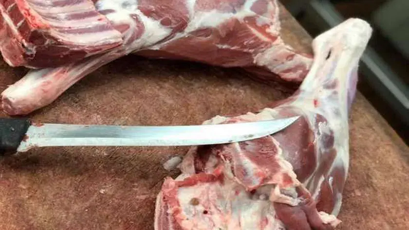 بيطري سوهاج