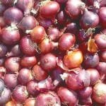 تصدير البصل المصري