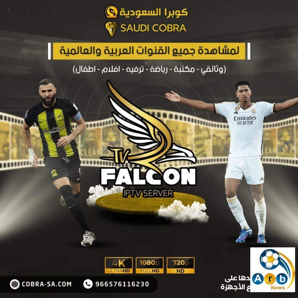 مقارنة شاملة بين اشتراك فالكون