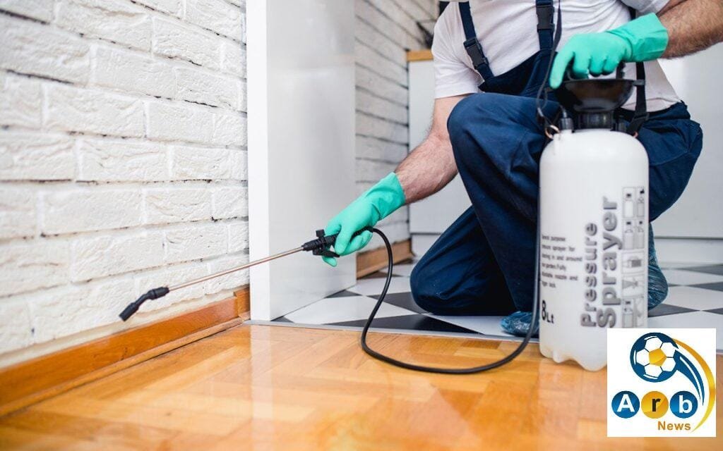 شركة مكافحة الحشرات بالدمام