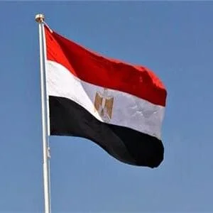 مصر تدين استمرار انتهاكات الاحتلال الإسرائيلي ضد المدنيين الفلسطينيين وتطالب بتوفير حماية دولية