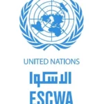 الدخل الحقيقى للأسرة المصرية