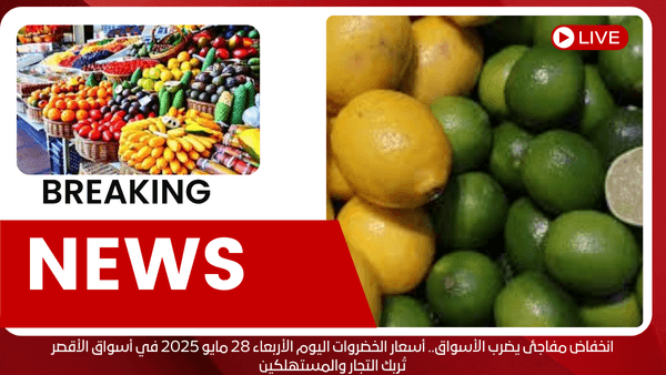 انخفاض مفاجئ يضرب الأسواق.. أسعار الخضروات اليوم الأربعاء 28 مايو 2025 في أسواق الأقصر تُربك التجار والمستهلكين
