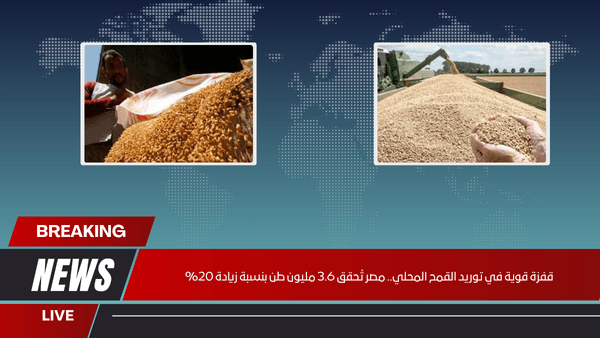 قفزة قوية في توريد القمح المحلي.. مصر تُحقق 3.6 مليون طن بنسبة زيادة 20%