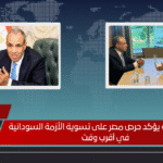 وزير الخارجية يؤكد حرص مصر على تسوية الأزمة السودانية في أقرب وقت