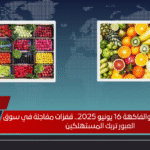 أسعار الخضروات والفاكهة 16 يونيو 2025.. قفزات مفاجئة في سوق العبور تربك المستهلكين