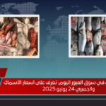 إنفجار مفاجئ في سوق العبور اليوم تعرف على أسعار الأسماك والجمبري 24 يونيو 2025