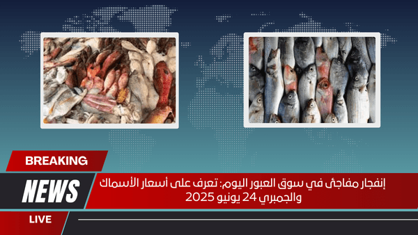 إنفجار مفاجئ في سوق العبور اليوم تعرف على أسعار الأسماك والجمبري 24 يونيو 2025