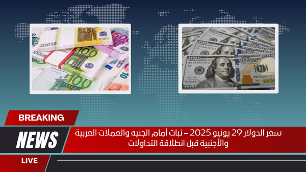 سعر الدولار 29 يونيو 2025 – ثبات أمام الجنيه والعملات العربية والأجنبية قبل انطلاقة التداولات