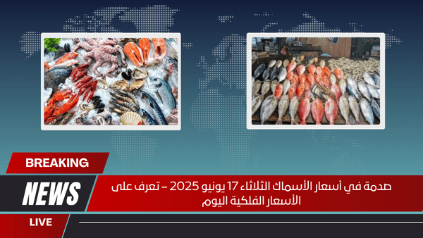 صدمة في أسعار الأسماك الثلاثاء 17 يونيو 2025 – تعرف على الأسعار الفلكية اليوم