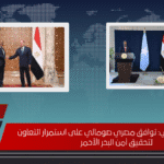 الرئيس السيسي: توافق مصري صومالي على استمرار التعاون لتحقيق أمن البحر الأحمر