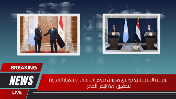 الرئيس السيسي: توافق مصري صومالي على استمرار التعاون لتحقيق أمن البحر الأحمر