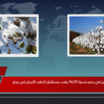 انخفاض زراعة القطن في مصر بنسبة 39% يهدد مستقبل الذهب الأبيض في مصر