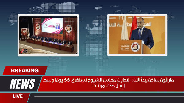 ماراثون ساخن يبدأ الآن.. انتخابات مجلس الشيوخ تستغرق 66 يومًا وسط إقبال 236 مرشحًا