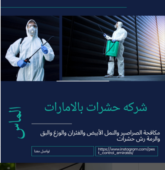 شركة مكافحة حشرات في الشارقة