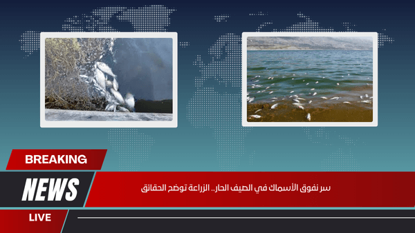 سر نفوق الأسماك في الصيف الحار.. الزراعة توضح الحقائق