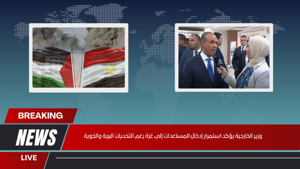 وزير الخارجية يؤكد استمرار إدخال المساعدات إلى غزة رغم التحديات البرية والجوية