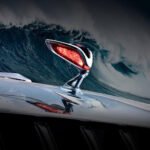 التفتح من أجل أصدقاء العالم العلامة التجارية الفاخرة للغاية من هونغتشي - Golden Sunflower تبحر نحو العالم