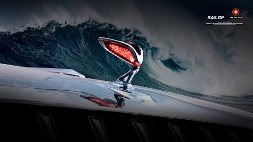 التفتح من أجل أصدقاء العالم العلامة التجارية الفاخرة للغاية من هونغتشي - Golden Sunflower تبحر نحو العالم