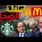 انهيار أرباح كوكاكولا واستار بكس وماكدونلز: هل يستفيد الاقتصاد المصري؟