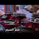 الحكاية| عمرو أديب الفسيخ لازم يبقى دلع وماتشتريهوش من اي حد وما يتاكلش الا بالعيش البلدي القابب