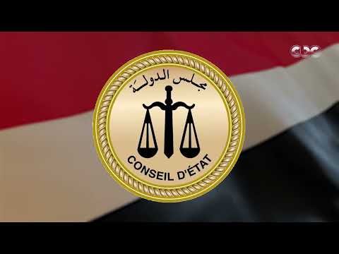 برلمان مصر في حماية القانون والإرادة الشعبية.. دور الناخب ومسؤوليته بعد إلغاء 49 دائرة فردية