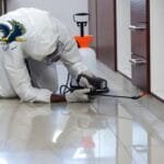 شركة مكافحة حشرات بالدمام