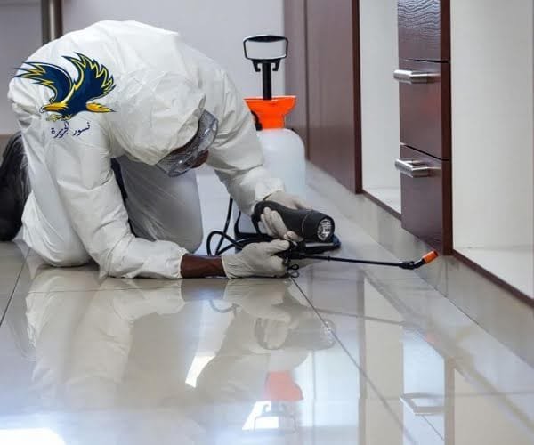 شركة مكافحة حشرات بالدمام