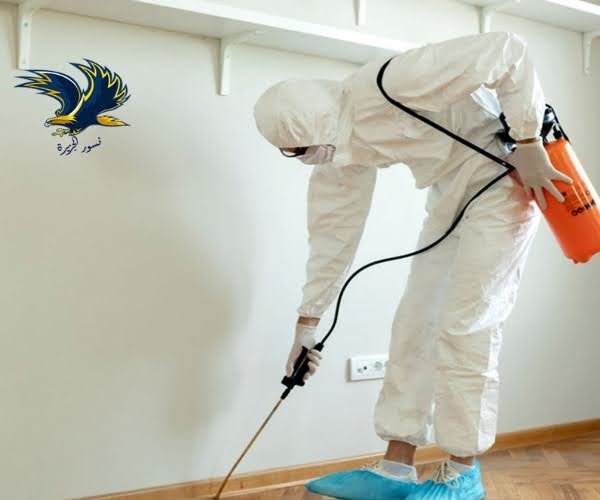 شركة مكافحة حشرات بالدمام