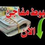 سعر الدولار اليوم في جميع محافظات العراقية وسعر اليورو مقابل الدينار العراقي