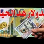 سعر الدولار اليوم في جميع محافظات العراقية وسعر اليورو مقابل الدينار العراقي