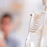 العظام نسيج حي وليس كتلة جامدة