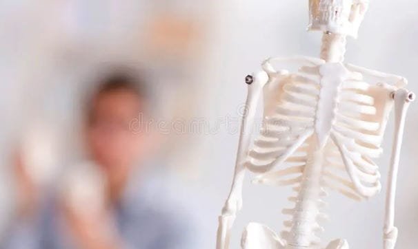 العظام نسيج حي وليس كتلة جامدة